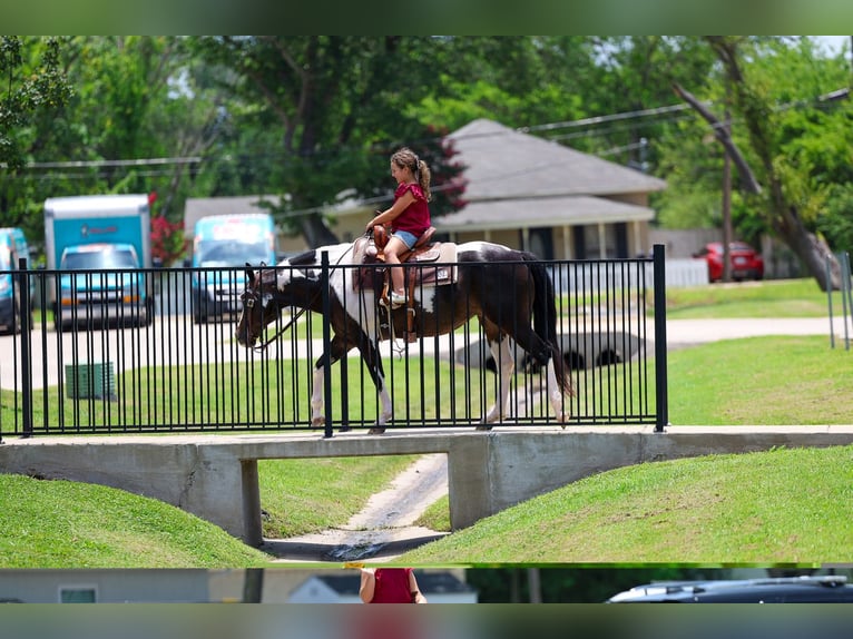 American Paint Horse Yegua 8 años 142 cm Pío in Terrell