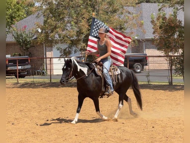 American Paint Horse Mestizo Yegua 9 años Pío in Cleburne