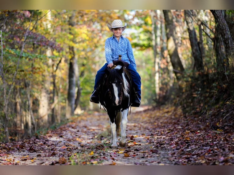 American Quarter Horse Castrone 10 Anni 127 cm Tobiano-tutti i colori in Santa Fe, TN