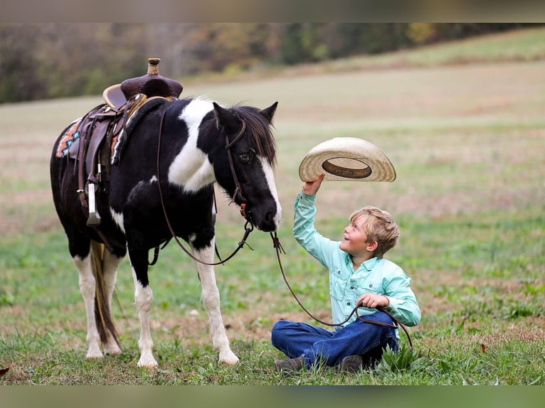 American Quarter Horse Castrone 10 Anni 127 cm Tobiano-tutti i colori in Santa Fe, TN