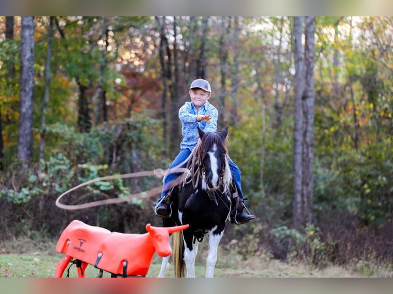 American Quarter Horse Castrone 10 Anni 127 cm Tobiano-tutti i colori in Santa Fe, TN