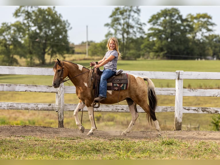 American Quarter Horse Castrone 10 Anni 130 cm Pelle di daino in Ewing KY