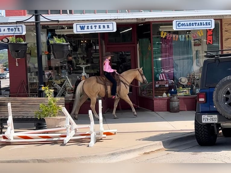 American Quarter Horse Castrone 10 Anni 142 cm Palomino in weatherford TX