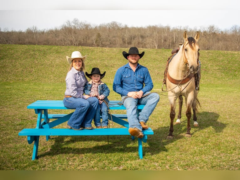 American Quarter Horse Castrone 10 Anni 142 cm Pelle di daino in Middletown OH