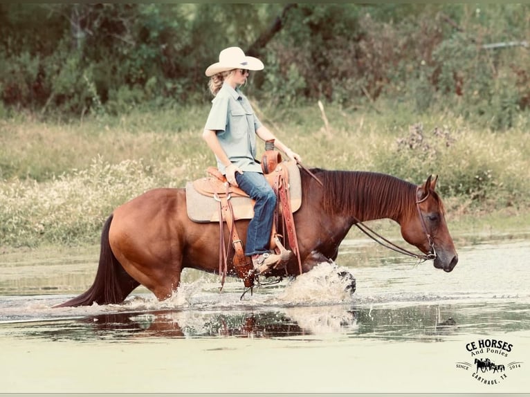 American Quarter Horse Castrone 10 Anni 150 cm Baio ciliegia in Carthage, TX