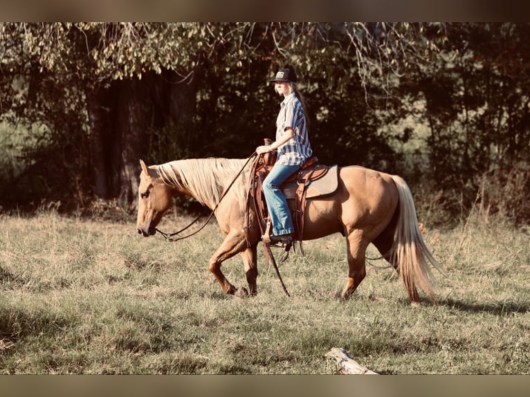 American Quarter Horse Castrone 10 Anni 150 cm Palomino in Carthage, TX