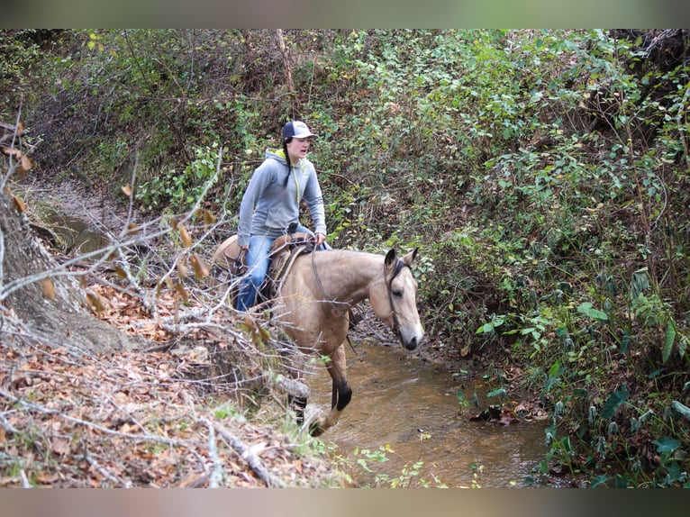 American Quarter Horse Castrone 10 Anni 150 cm Pelle di daino in Rusk TX