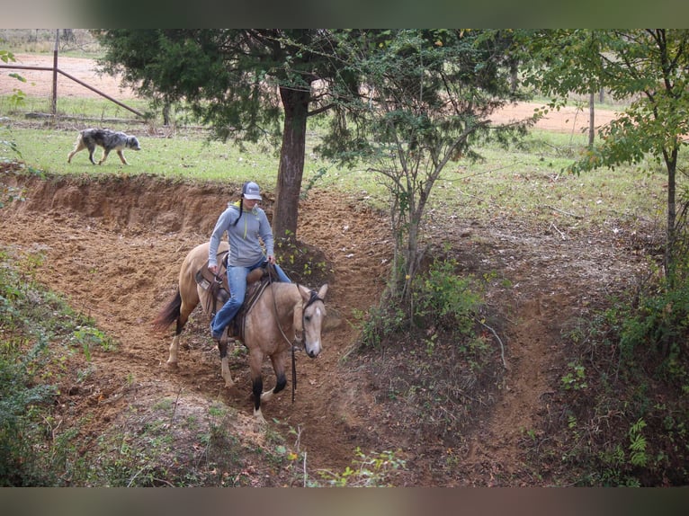 American Quarter Horse Castrone 10 Anni 150 cm Pelle di daino in Rusk TX