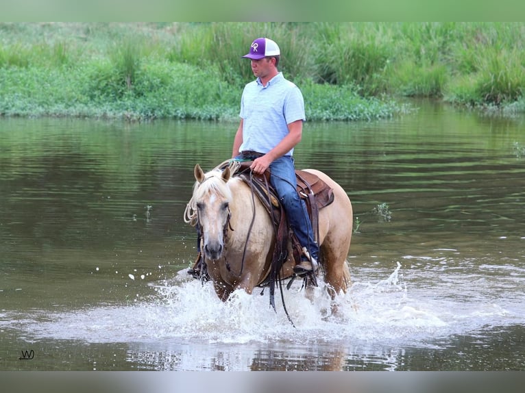 American Quarter Horse Castrone 10 Anni 152 cm Palomino in Carthage, TX