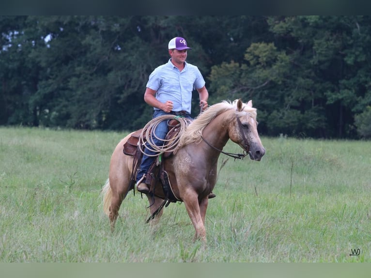 American Quarter Horse Castrone 10 Anni 152 cm Palomino in Carthage, TX