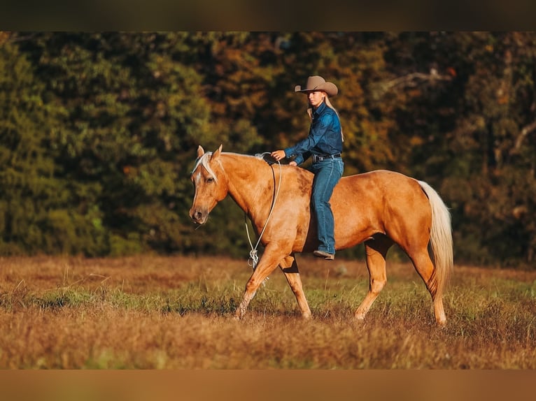 American Quarter Horse Castrone 10 Anni 152 cm Palomino in Lyles
