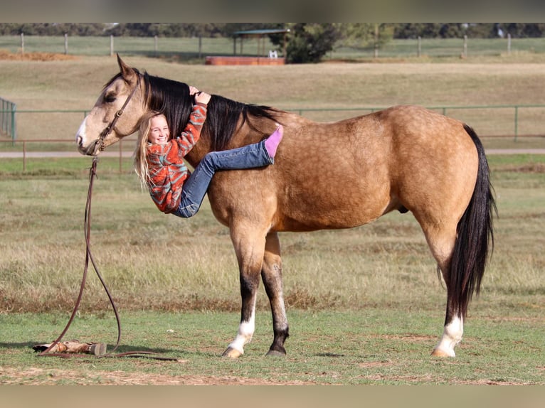 American Quarter Horse Castrone 10 Anni 152 cm Pelle di daino in Joshua TX