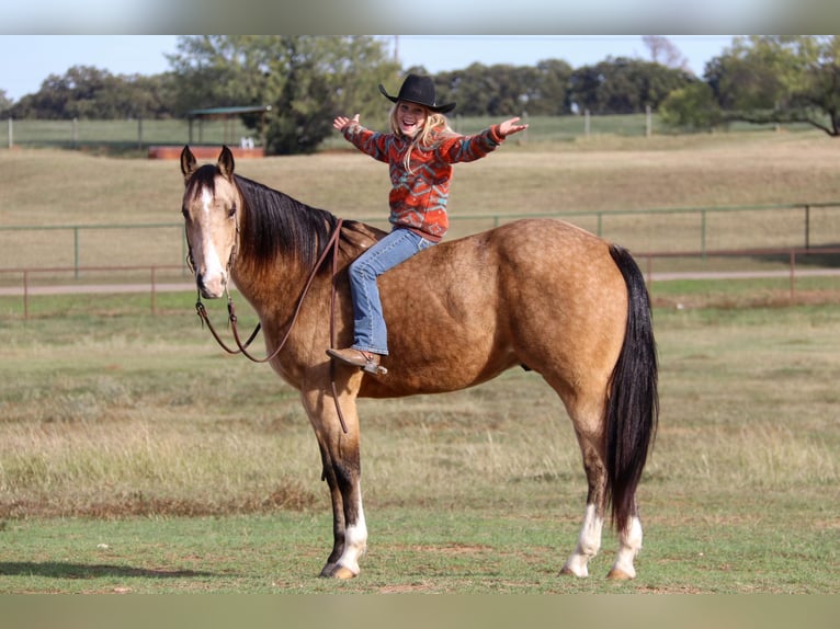 American Quarter Horse Castrone 10 Anni 152 cm Pelle di daino in Joshua TX