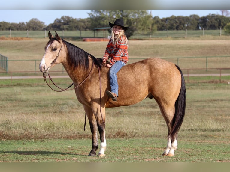 American Quarter Horse Castrone 10 Anni 152 cm Pelle di daino in Joshua TX