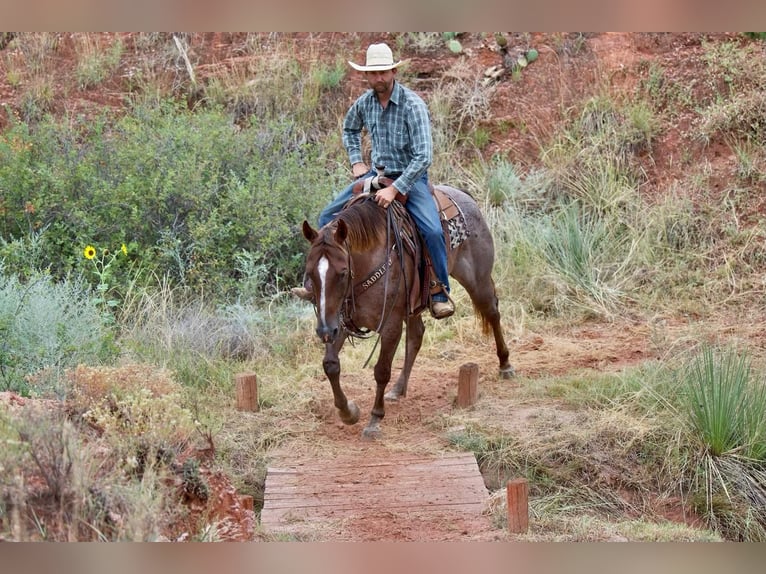American Quarter Horse Castrone 10 Anni 152 cm Roano rosso in Waco, TX