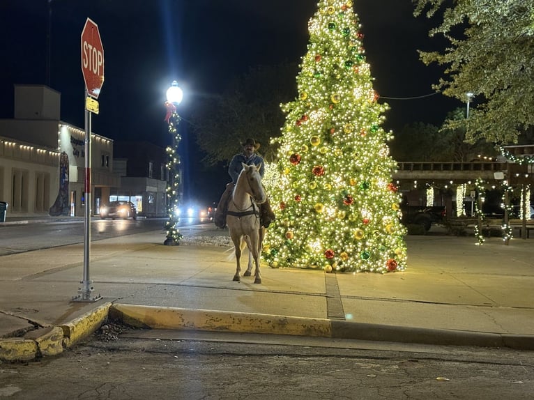 American Quarter Horse Castrone 10 Anni 155 cm Palomino in Stephenville
