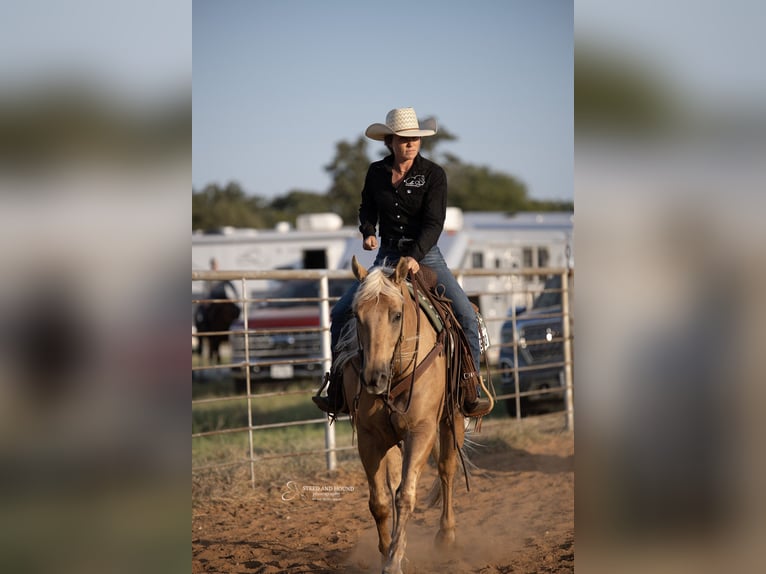 American Quarter Horse Castrone 10 Anni 155 cm Palomino in Argyle, TX