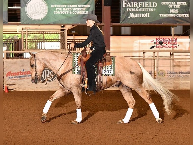 American Quarter Horse Castrone 10 Anni 155 cm Palomino in Argyle, TX