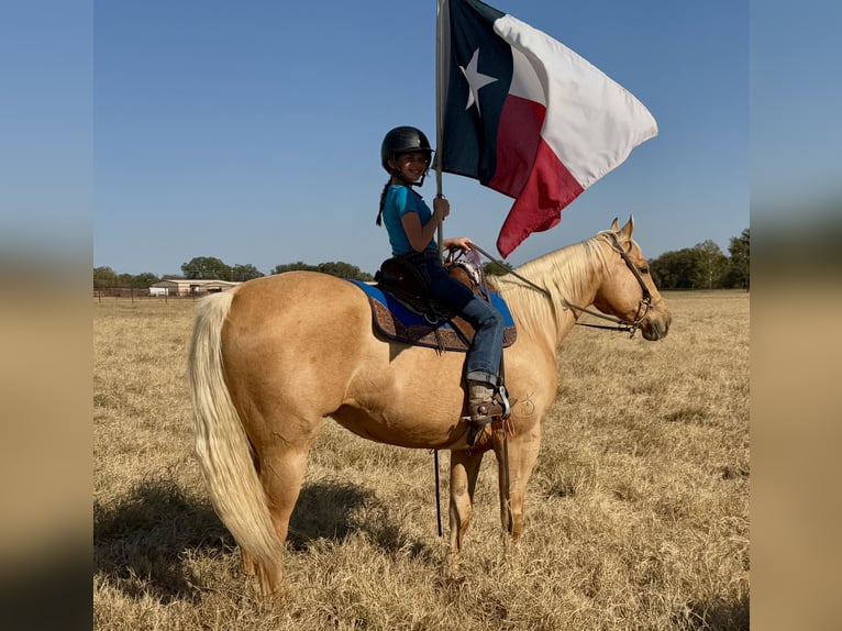 American Quarter Horse Castrone 10 Anni 157 cm Palomino in Weatherford