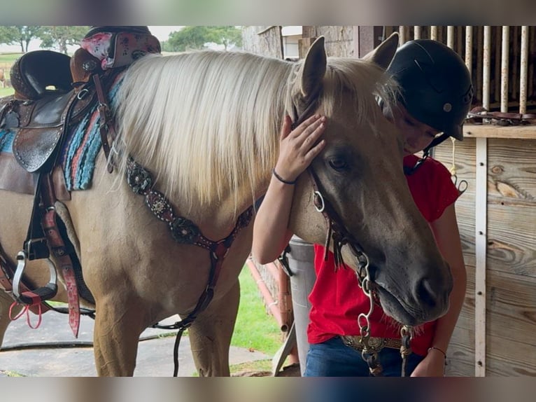 American Quarter Horse Castrone 10 Anni Palomino in Weatherford