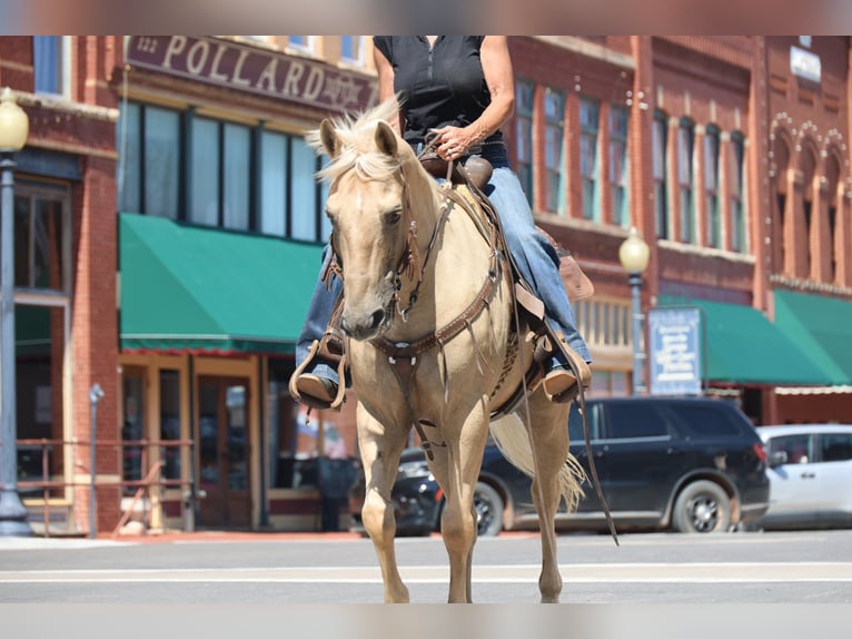 American Quarter Horse Castrone 10 Anni Palomino in Weatherford