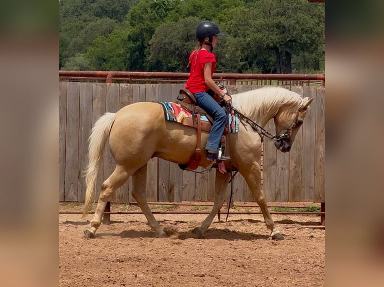 American Quarter Horse Castrone 10 Anni Palomino in Weatherford