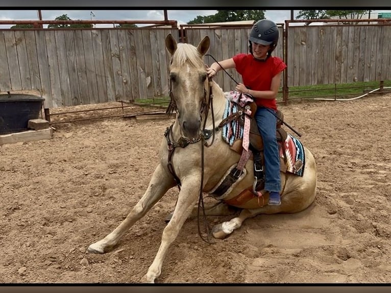 American Quarter Horse Castrone 10 Anni Palomino in Weatherford