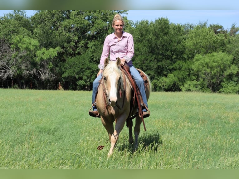 American Quarter Horse Castrone 10 Anni in Jaxksboro TX