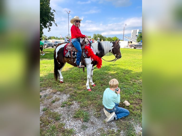 American Quarter Horse Castrone 10 Anni Tobiano-tutti i colori in Stephenville TX