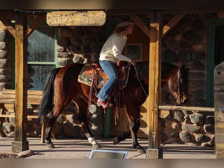 American Quarter Horse Castrone 11 Anni 150 cm Baio ciliegia in Camp Verde, AZ