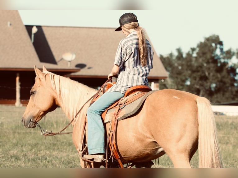 American Quarter Horse Castrone 11 Anni 150 cm Palomino in Carthage, TX