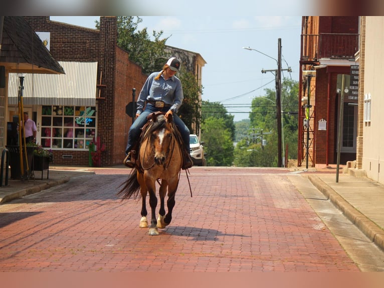 American Quarter Horse Castrone 11 Anni 152 cm Falbo in Rusk TX