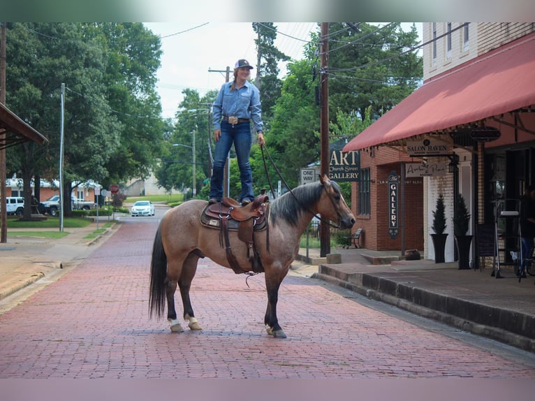 American Quarter Horse Castrone 11 Anni 152 cm Falbo in Rusk TX