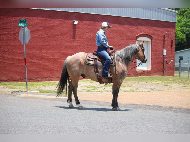 American Quarter Horse Castrone 11 Anni 152 cm Falbo in Rusk TX