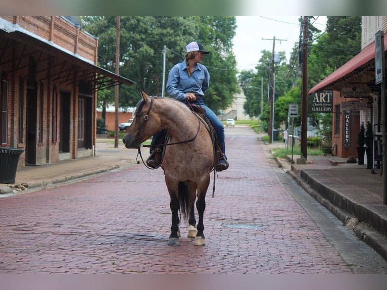 American Quarter Horse Castrone 11 Anni 152 cm Falbo in Rusk TX