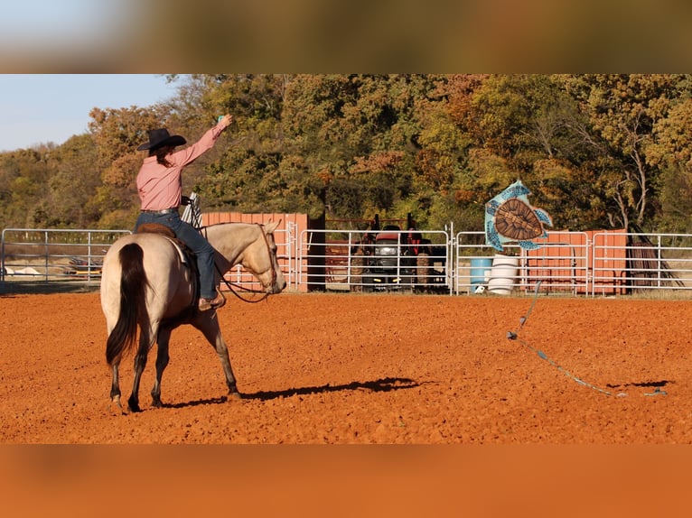 American Quarter Horse Castrone 11 Anni 152 cm Pelle di daino in Stephenville TX