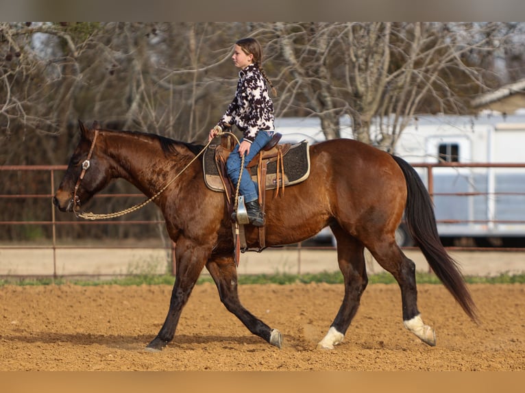 American Quarter Horse Castrone 11 Anni 155 cm Baio ciliegia in Joshua, TX