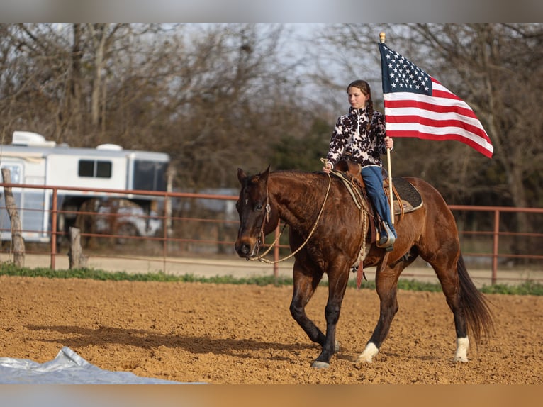 American Quarter Horse Castrone 11 Anni 155 cm Baio ciliegia in Joshua, TX