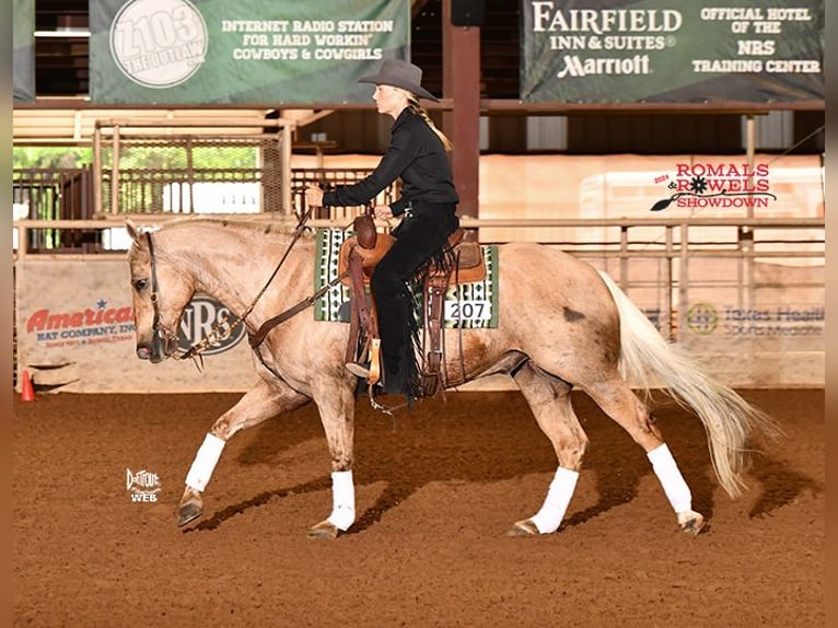 American Quarter Horse Castrone 11 Anni 155 cm Palomino in Argyle, TX