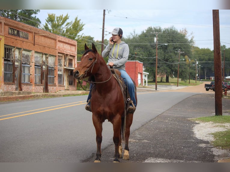 American Quarter Horse Castrone 11 Anni 155 cm Sauro ciliegia in RUSK TX