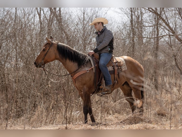 American Quarter Horse Castrone 11 Anni 163 cm Tobiano-tutti i colori in river falls WI