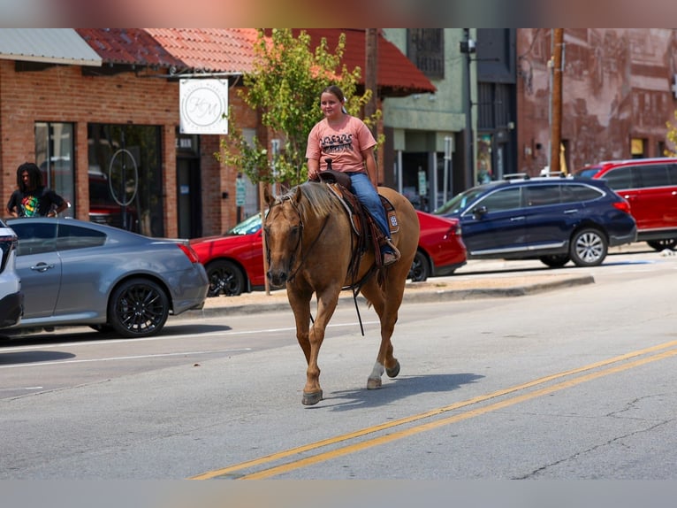 American Quarter Horse Castrone 11 Anni Palomino in Forney