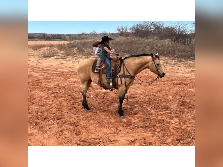 American Quarter Horse Castrone 12 Anni 150 cm Pelle di daino in Canyon, TX