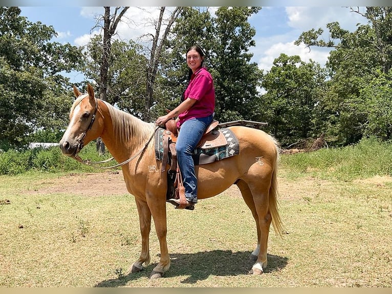 American Quarter Horse Castrone 12 Anni 152 cm Palomino in Athens, TX