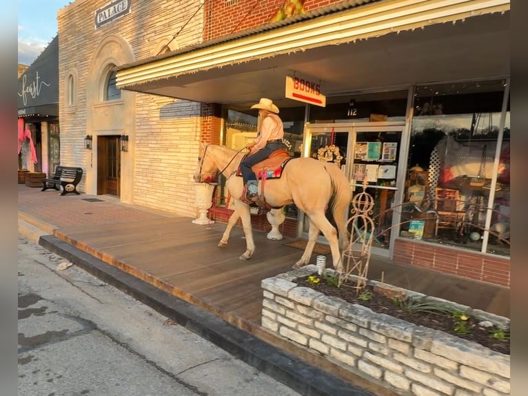 American Quarter Horse Castrone 12 Anni 160 cm Palomino in Granbury, TX