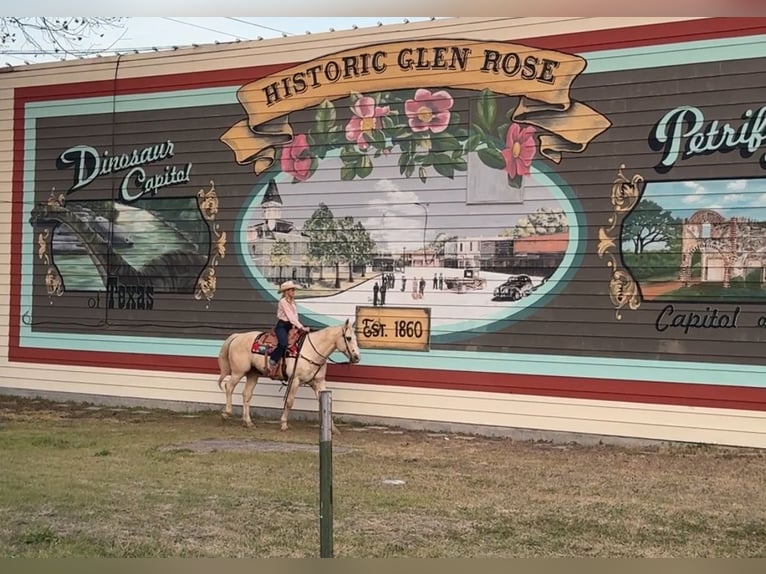 American Quarter Horse Castrone 12 Anni 160 cm Palomino in Granbury, TX