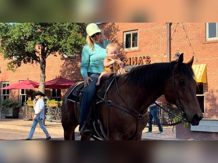 American Quarter Horse Castrone 12 Anni 163 cm Baio ciliegia in Weatherford TX