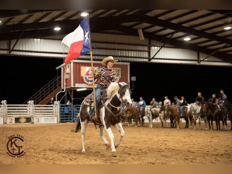 American Quarter Horse Castrone 12 Anni Tobiano-tutti i colori in Raveena, TX