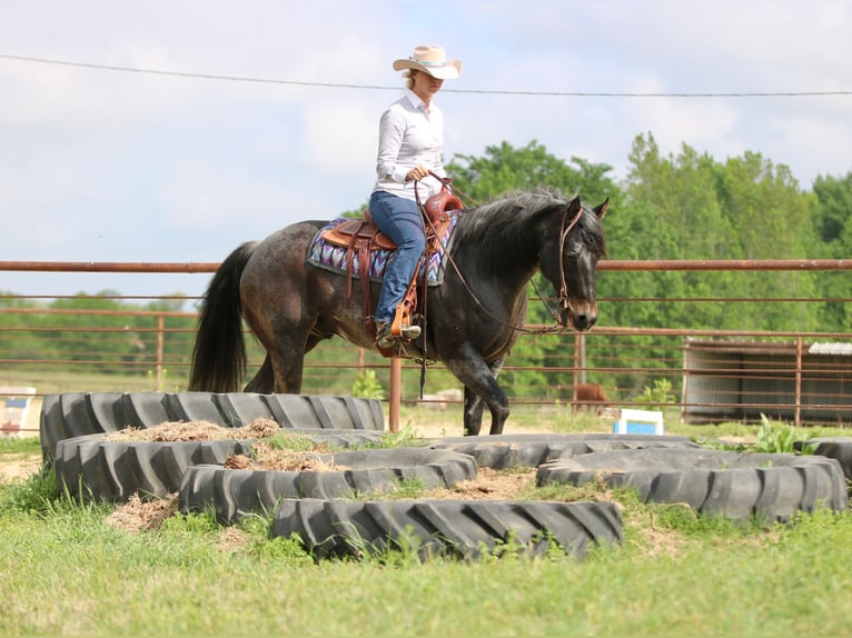 American Quarter Horse Castrone 13 Anni 152 cm Baio roano in Athens