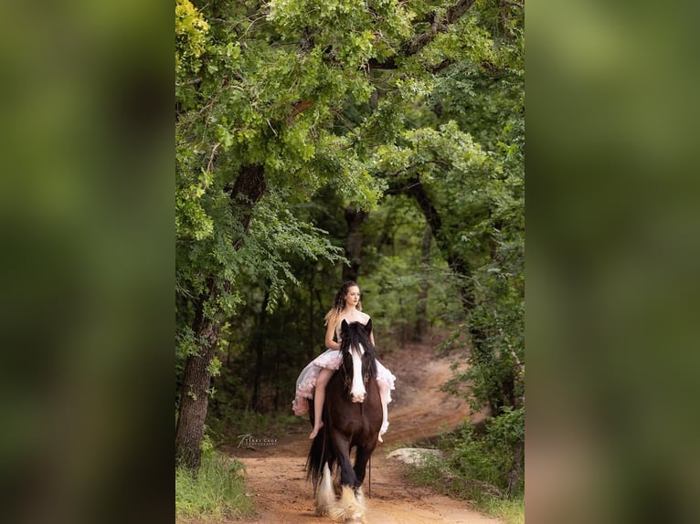 American Quarter Horse Castrone 13 Anni 168 cm Morello in canton TX